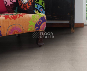 Haro Tritty 100 Campus 4V ДУБ БЕРГАМО СЕРЕБРЯНО-СЕРЫЙ 538748 фото 2 | FLOORDEALER